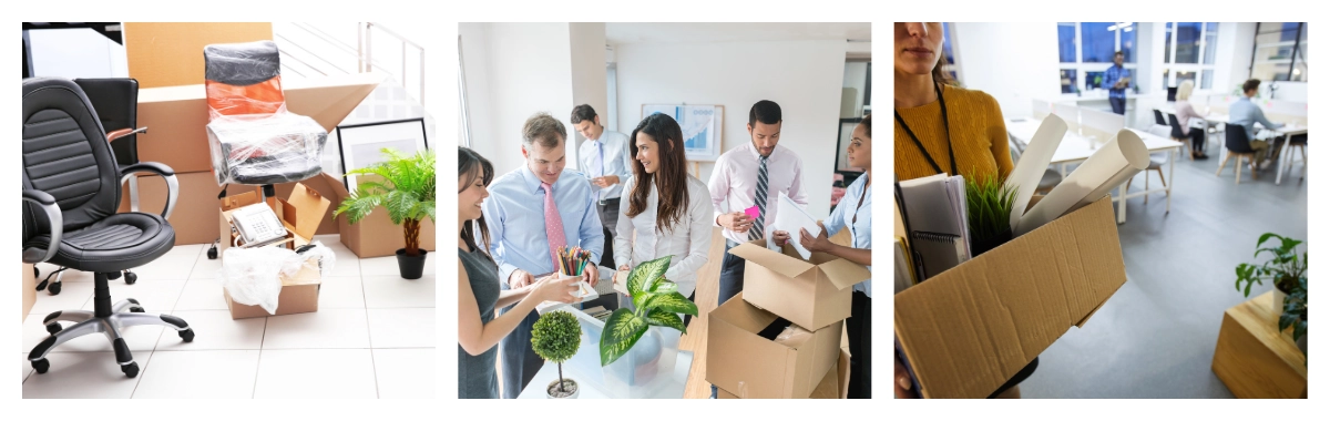 Porządkowanie akt z pomocą kartonów kapak Kapak pomaga w uporządkowaniu biura z jego kartonami